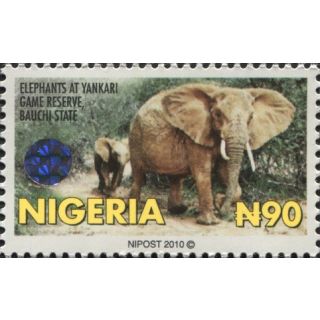 Eléphants dans la réserve de chasse de Yankari, État de Bauchi - Série courante 2010 