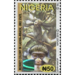 Colonie de singes à Lagwa-Mbaise, Etat d'Imo - Série courante 2010 
