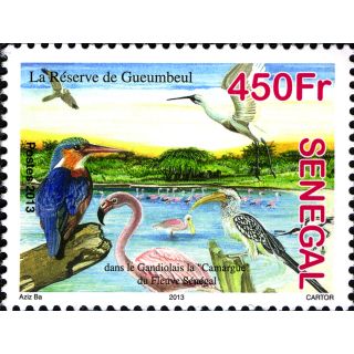Réserve de Gueumbeul: Oiseaux